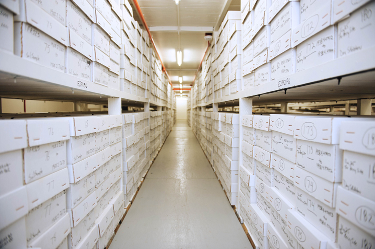 special collections facility